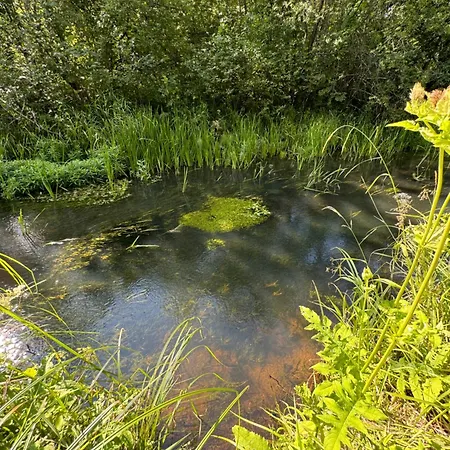 Maenniku Дом отдыха