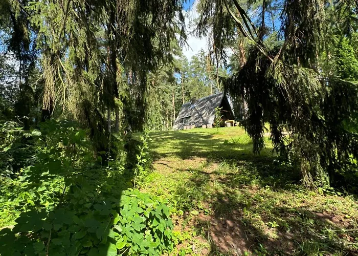 Maenniku * Lalli (Tartu)